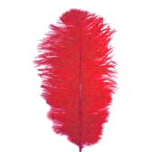 Ostrich Feather Plume